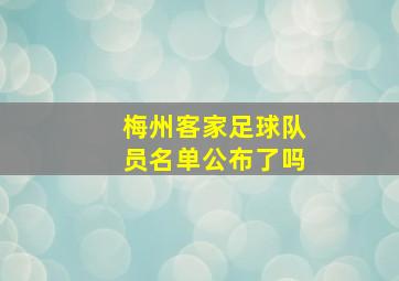 梅州客家足球队员名单公布了吗