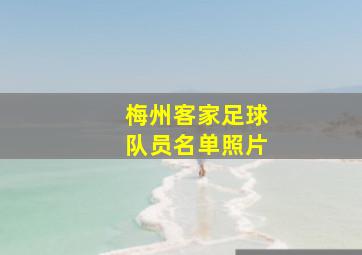 梅州客家足球队员名单照片