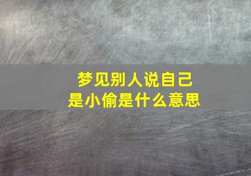 梦见别人说自己是小偷是什么意思