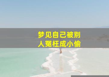 梦见自己被别人冤枉成小偷