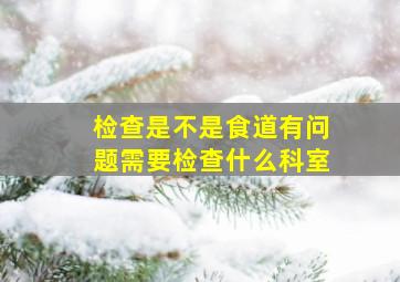 检查是不是食道有问题需要检查什么科室