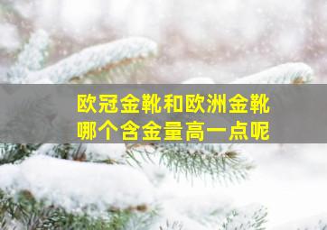 欧冠金靴和欧洲金靴哪个含金量高一点呢