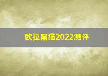 欧拉黑猫2022测评