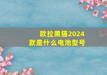 欧拉黑猫2024款是什么电池型号