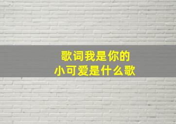 歌词我是你的小可爱是什么歌