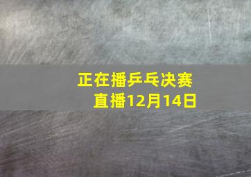 正在播乒乓决赛直播12月14日