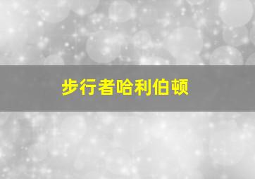 步行者哈利伯顿