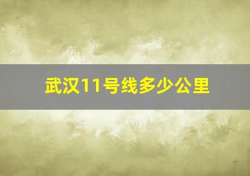 武汉11号线多少公里