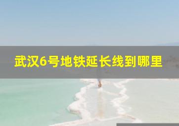 武汉6号地铁延长线到哪里