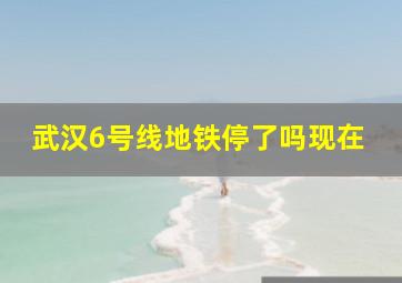 武汉6号线地铁停了吗现在