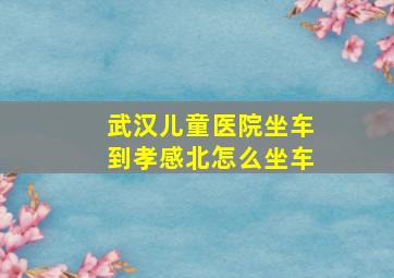 武汉儿童医院坐车到孝感北怎么坐车