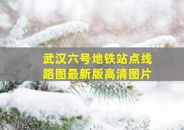 武汉六号地铁站点线路图最新版高清图片