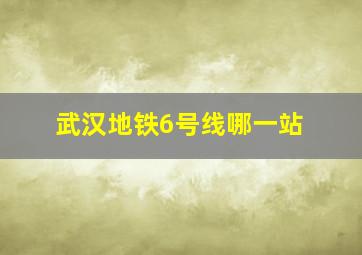 武汉地铁6号线哪一站