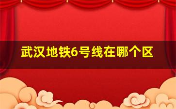 武汉地铁6号线在哪个区