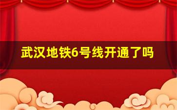 武汉地铁6号线开通了吗