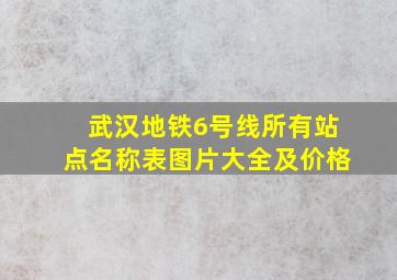 武汉地铁6号线所有站点名称表图片大全及价格