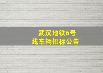 武汉地铁6号线车辆招标公告