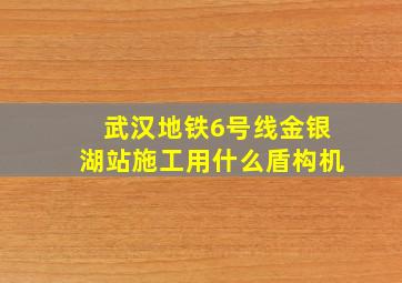 武汉地铁6号线金银湖站施工用什么盾构机