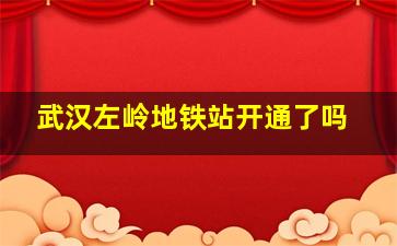 武汉左岭地铁站开通了吗