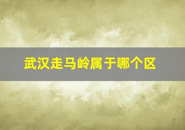 武汉走马岭属于哪个区