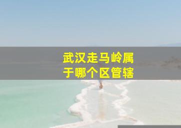 武汉走马岭属于哪个区管辖