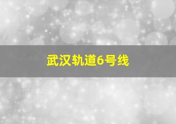 武汉轨道6号线