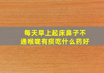 每天早上起床鼻子不通喉咙有痰吃什么药好