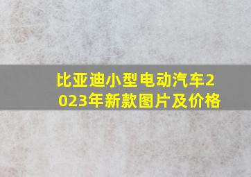 比亚迪小型电动汽车2023年新款图片及价格