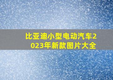 比亚迪小型电动汽车2023年新款图片大全