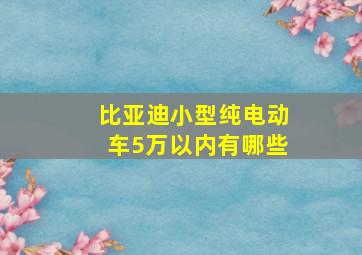 比亚迪小型纯电动车5万以内有哪些