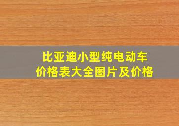 比亚迪小型纯电动车价格表大全图片及价格