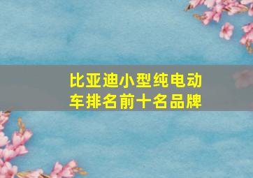 比亚迪小型纯电动车排名前十名品牌