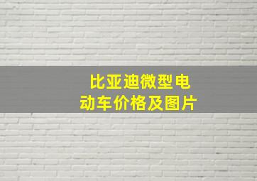 比亚迪微型电动车价格及图片