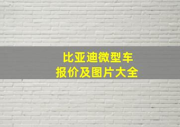 比亚迪微型车报价及图片大全