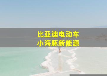 比亚迪电动车小海豚新能源