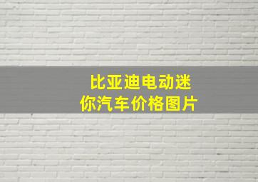 比亚迪电动迷你汽车价格图片