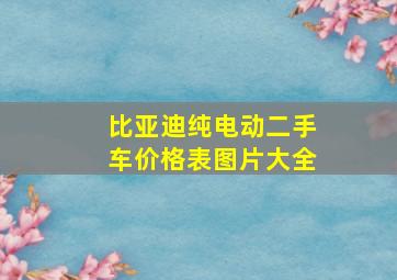 比亚迪纯电动二手车价格表图片大全