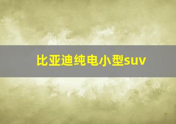 比亚迪纯电小型suv