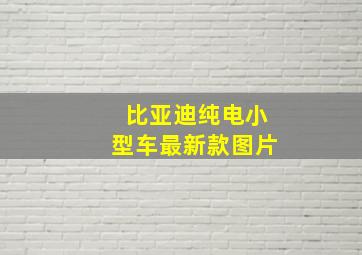 比亚迪纯电小型车最新款图片