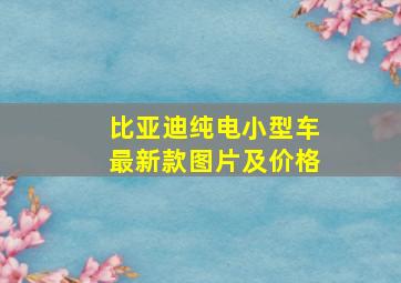 比亚迪纯电小型车最新款图片及价格