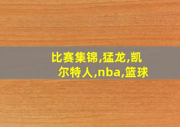 比赛集锦,猛龙,凯尔特人,nba,篮球