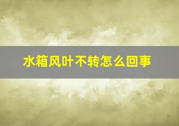 水箱风叶不转怎么回事