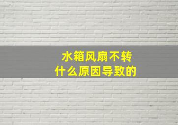 水箱风扇不转什么原因导致的