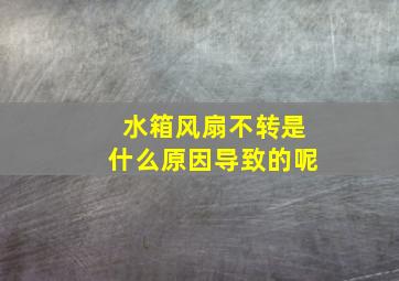 水箱风扇不转是什么原因导致的呢