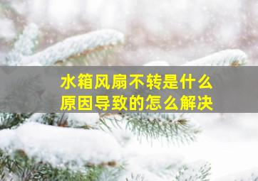 水箱风扇不转是什么原因导致的怎么解决