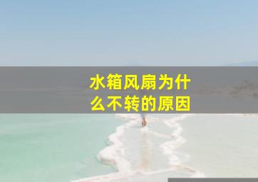 水箱风扇为什么不转的原因