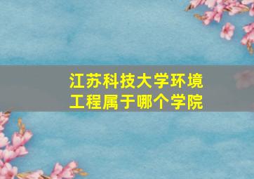 江苏科技大学环境工程属于哪个学院