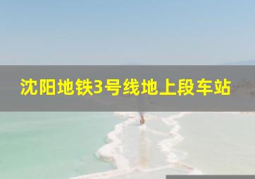 沈阳地铁3号线地上段车站