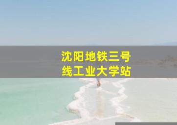 沈阳地铁三号线工业大学站