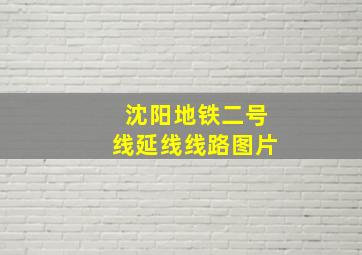 沈阳地铁二号线延线线路图片